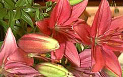 Una fecha inolvidable