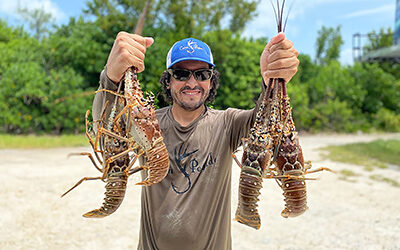 ﻿Las langostas estuvieron a la orden del día para los pescadores de Miami