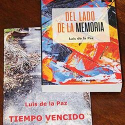 Libros en LIBRE. EL HOMBRE DE LEJOS: EL NIÑO, EL BRAZO DE CRISTO Y LA IMPASIBILIDAD DE LA INDIA