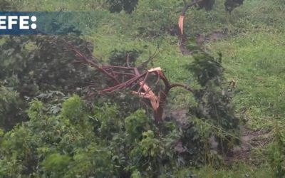 El tifón Yagi deja dos muertos y casi un centenar de heridos en el sur de China