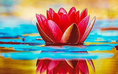 Mensaje Inspiracional. Si quieres ser feliz, empieza por quererte y aceptarte