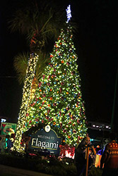 ﻿Manolo Reyes prendió las luces en Flagami. ﻿Gente de Zona hizo estallar la alegría en comienzos de la Navidad