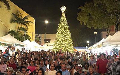 ﻿Un estallido de felicidad al encenderse luces del árbol de Navidad en Pequeña Habana