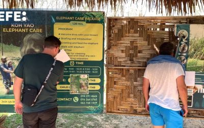 La Policía investiga la muerte de la turista española atacada por un elefante en Tailandia