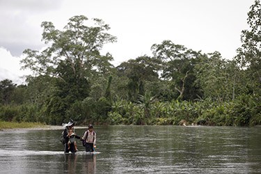 ﻿Cae más de un 90 % el cruce de migrantes por la selva del Darién en el comienzo de 2025