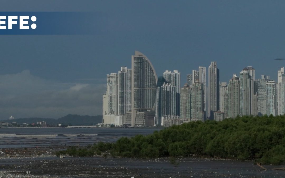 IA y manglares, clave para hacer frente a la crisis climática en Latinoamérica