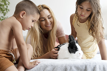 ﻿Guía para familias: aprendiendo a querer a los animales
