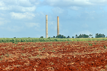 ﻿La zafra azucarera cubana no alcanza las 150.000 toneladas, la peor en más de un siglo