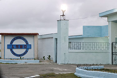 ﻿ONG denuncia al menos 60 muertes de presos en Cuba en doce meses