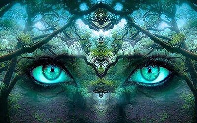 ﻿ ‘Los ojos verdes’