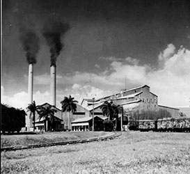 Curiosidades cubanas: El Central Preston y su Cortadora de Caña