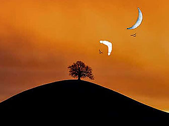 Mensaje Inspiracional. El boomerang y la luna: el curioso origen de nuestro satélite