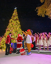 ‘Rompe fuegos’ la grandiosa Navidad en el Downtown de Miami