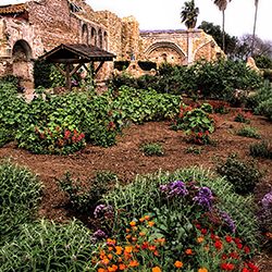 Misionero y fundador (II)