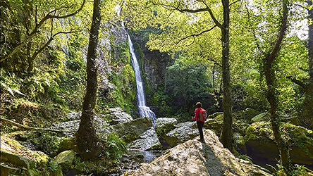 Cascadas espectaculares en el interior de Asturias