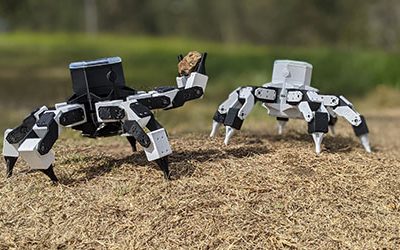 Los robots van a la escuela