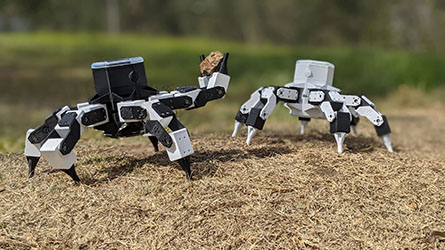 Los robots van a la escuela